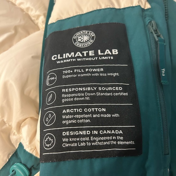 Aritzia TNA Pursuit Parka in Green (Size L) - Picture 13 of 16